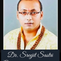 Surajit Bhar ( Dr. Sreejit Sastri )