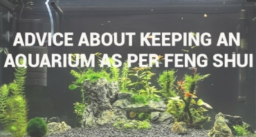 Advice about keeping an aquarium as per feng shui