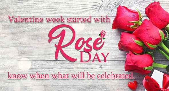 Valentine's week started with Rose Day, know when what will be celebrated.